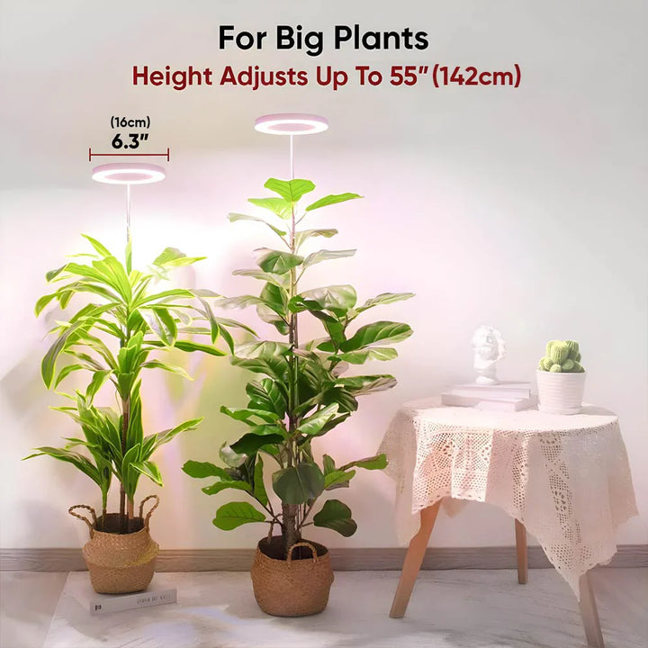 Halo Grow Light