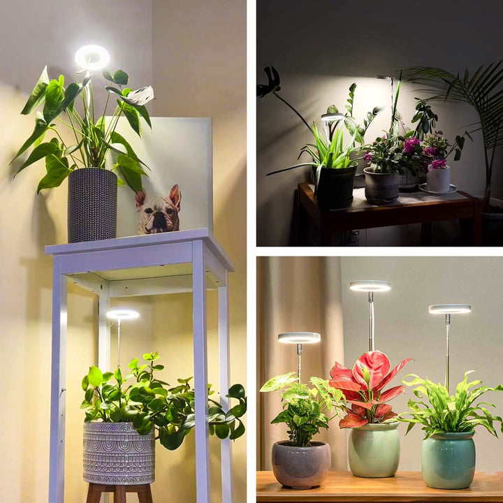 Halo Grow Light