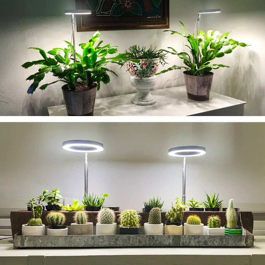 Halo Grow Light