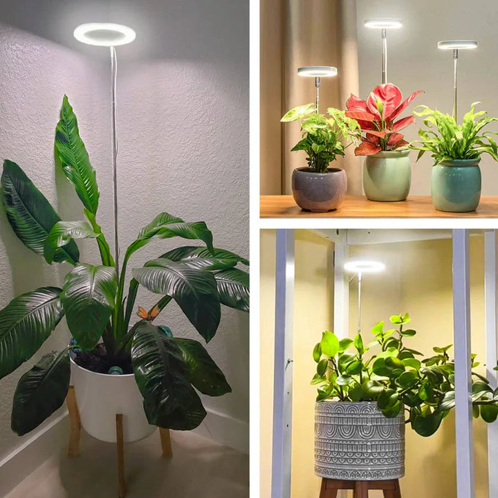 Halo Grow Light